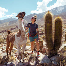 Load image into Gallery viewer, Small Mountain Sun T-Shirt - Women&#39;s - SALE
