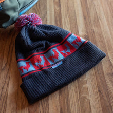 Load image into Gallery viewer, Quito Pom Beanie - FINAL SALE
